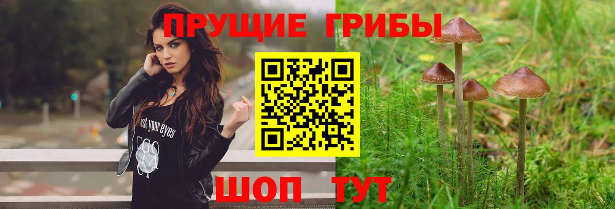 наркота  Галлюциногенные грибы ЛСД  Вход с VPN  Шебекино 