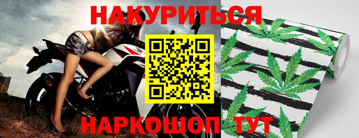 Каннабис конопля Шебекино